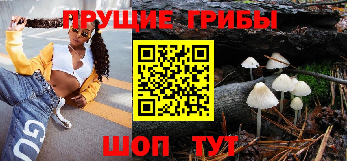 ГАШ Саранск
