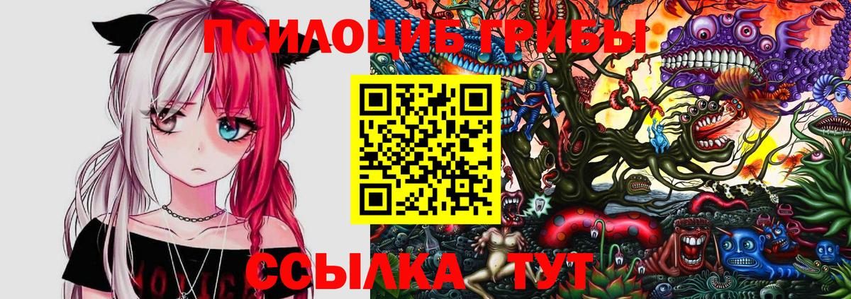 Псилоцибиновые грибы Psilocybe Саранск